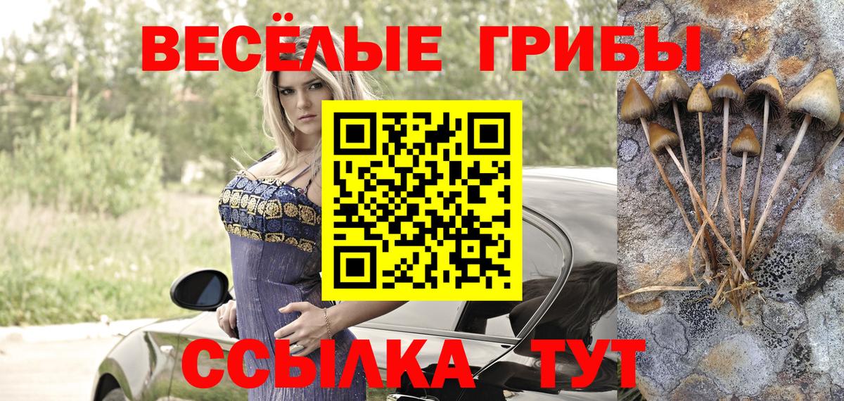 Галлюциногенные грибы Magic Shrooms Донской